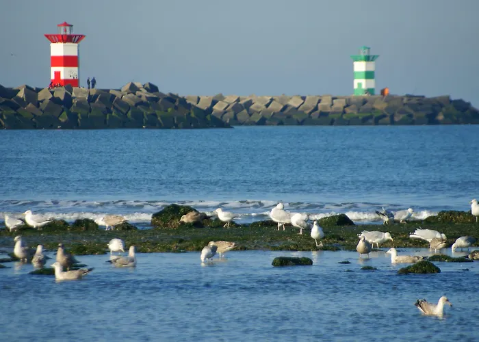 Boulevard Scheveningen Ξενοδοχείο